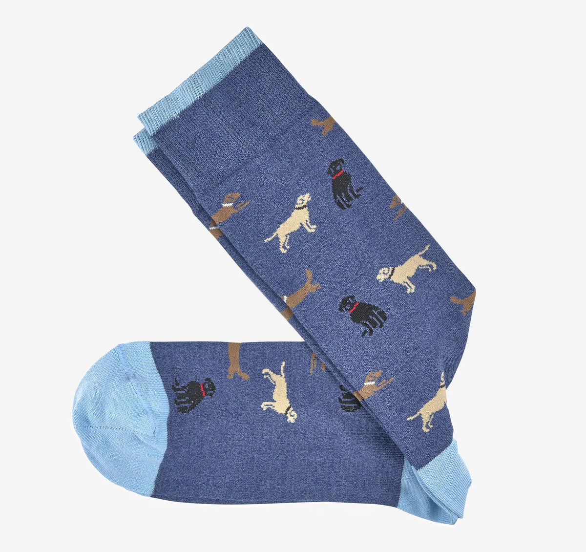 Denim Labrador