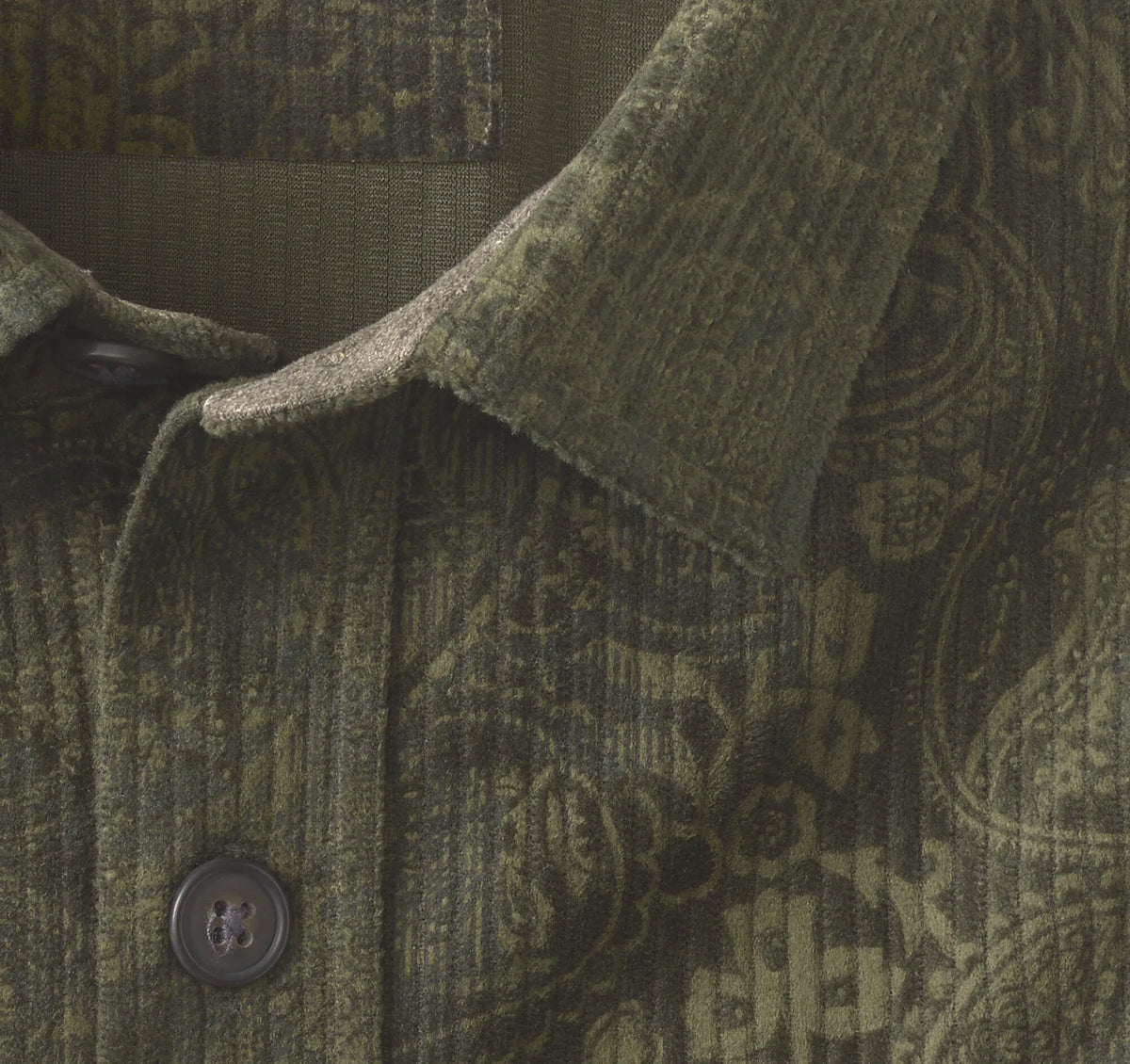Olive Paisley
