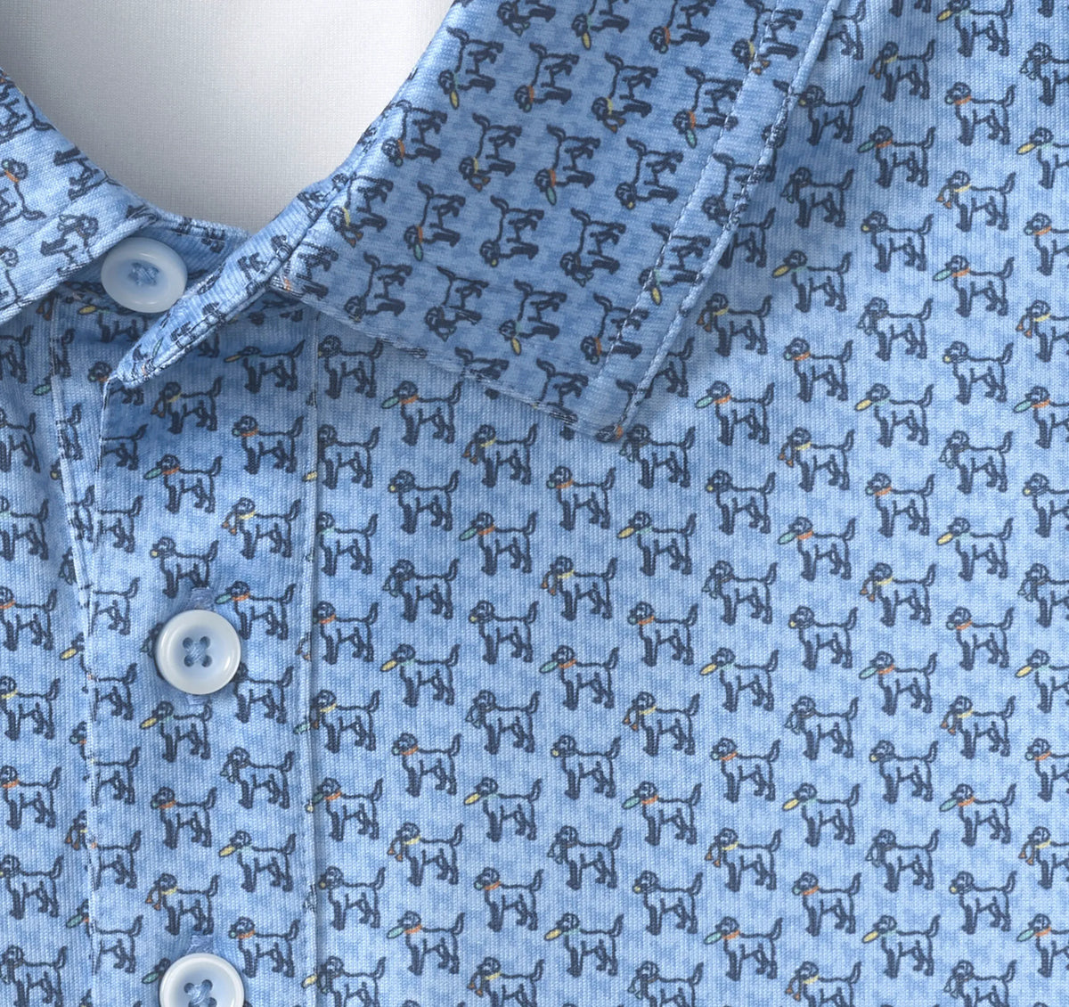 Blue Retriever