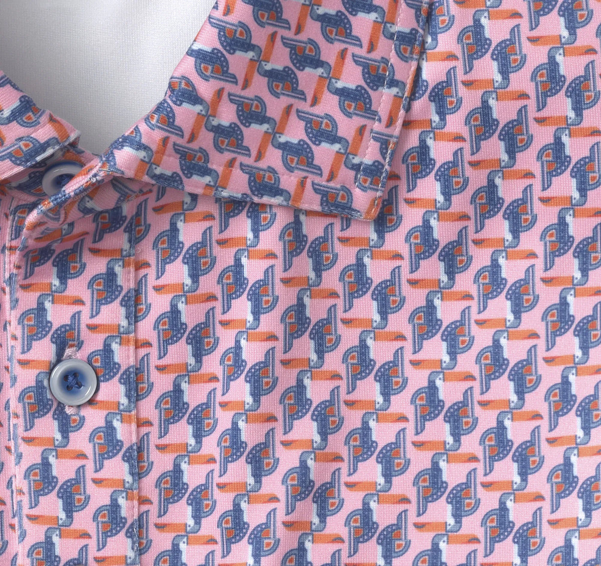 Pink Toucan