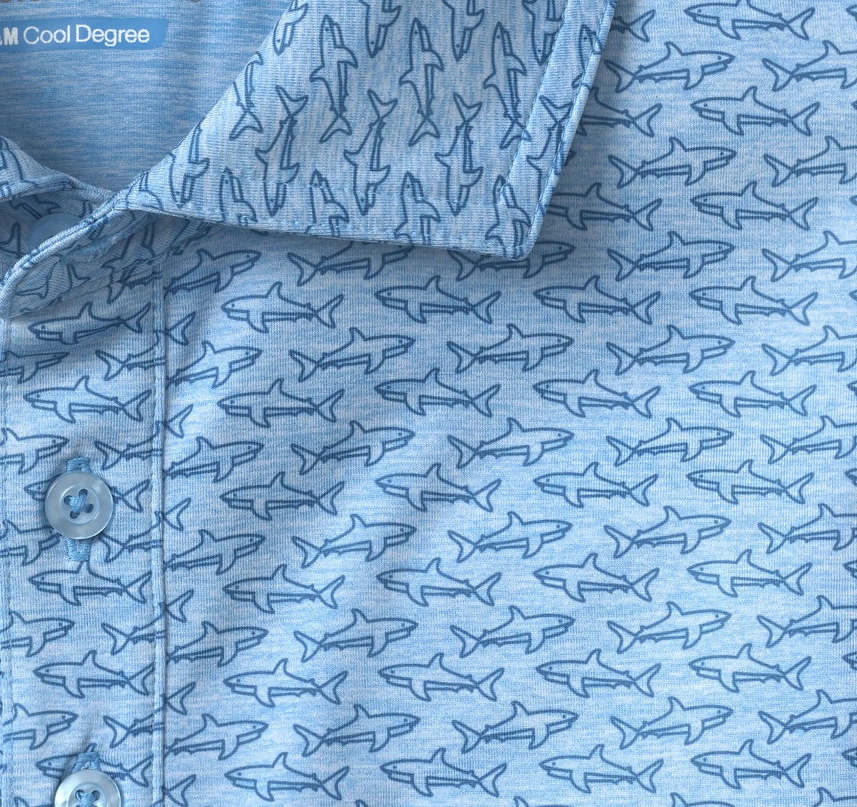 Blue Shark