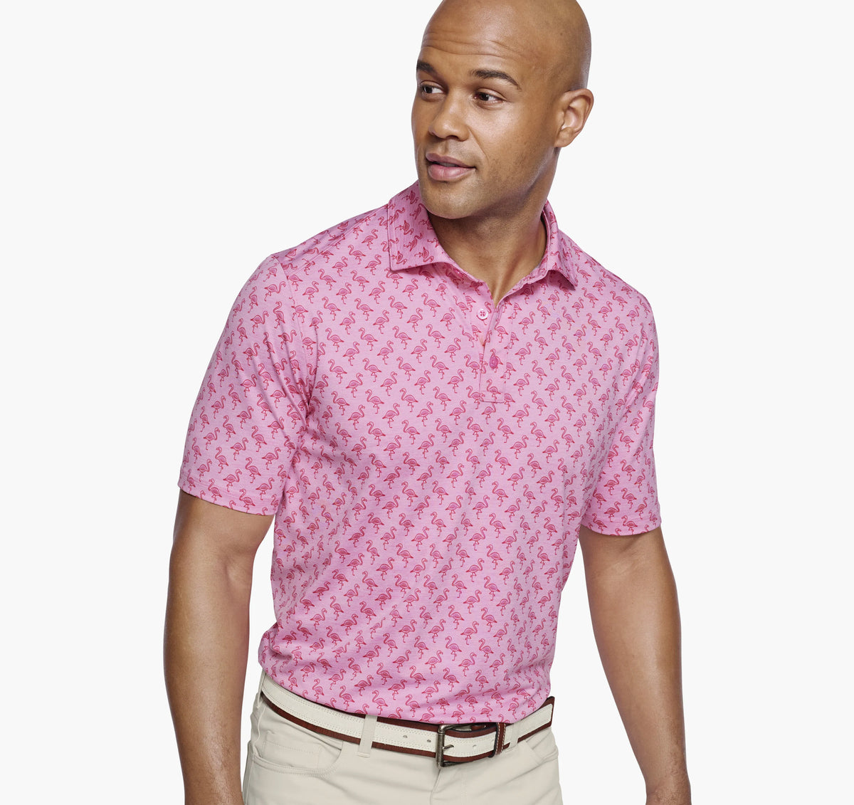 Pink Flamingo