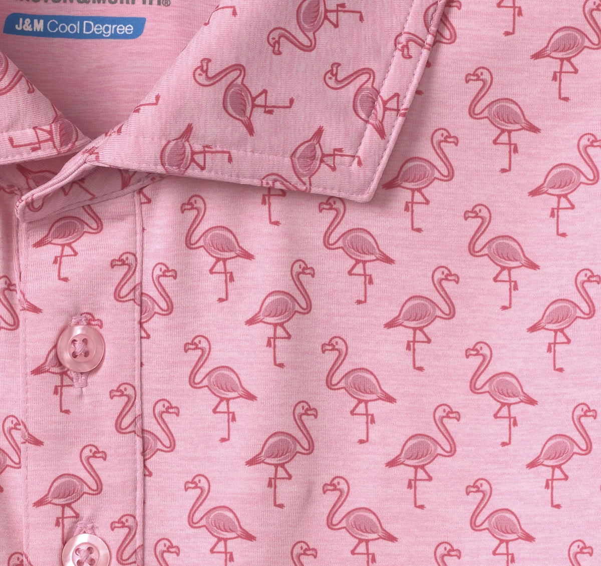 Pink Flamingo