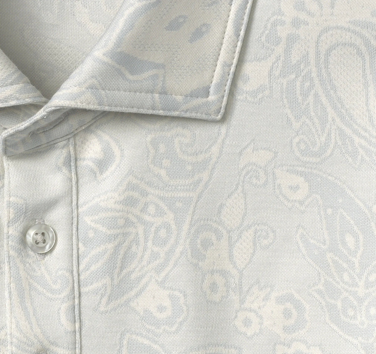 Light Gray Paisley