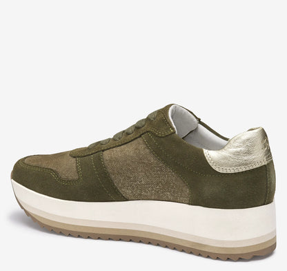Olive Suede/Italian Metallic Kid Suede